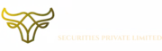 Aceset Securities